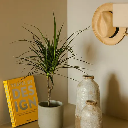 Kerami Kefalonia Villa Afrato