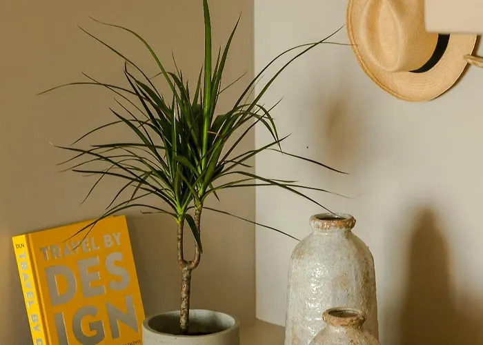 Kerami Kefalonia Villa Afrato